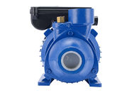 Energy Saving Electric Motor Water Pump 1.5HP / 1.1KW With 9M Max Suction , Stainless Steel
